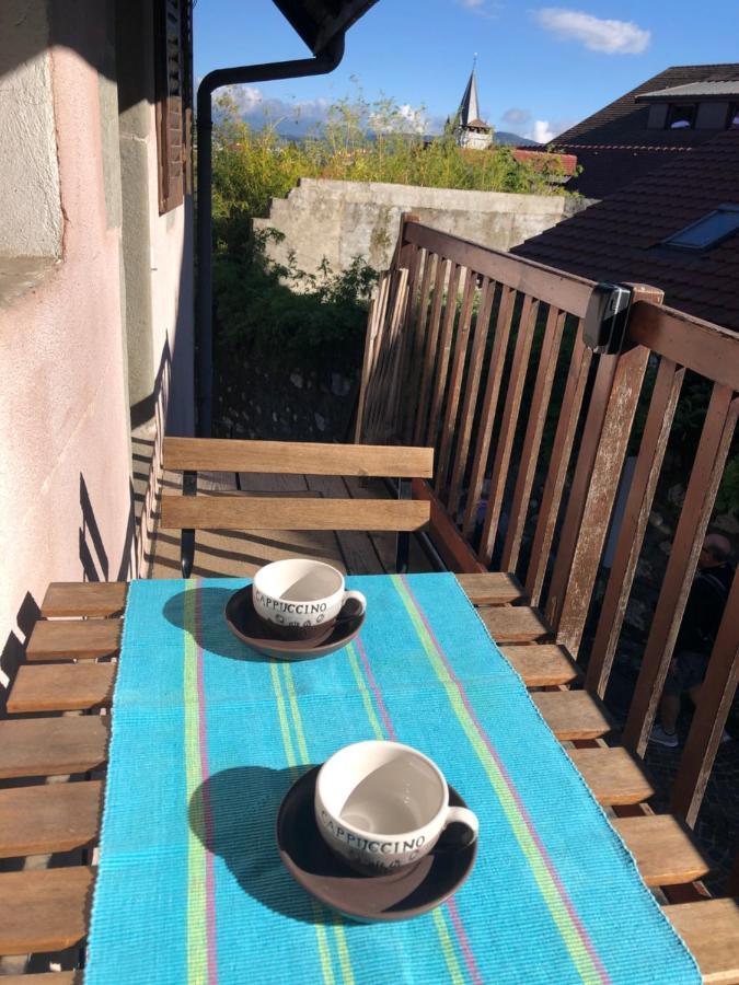 Appartement Dans La Vieille Ville, En Face Du Chateau Annecy Exterior foto